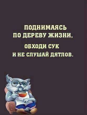 https://upforme.ru/uploads/0018/1f/0e/115/t213706.jpg
