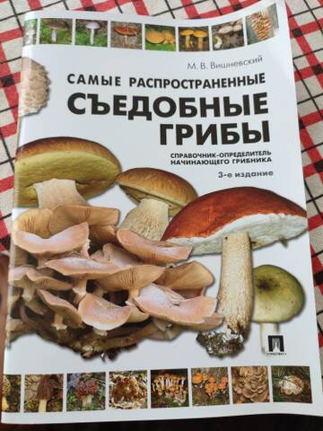 https://upforme.ru/uploads/0018/1f/0e/16/t781601.jpg