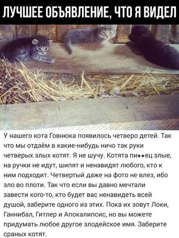 https://upforme.ru/uploads/0018/1f/0e/39/t981569.jpg
