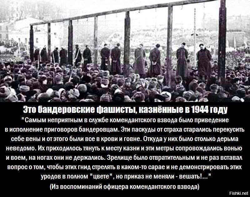 https://upforme.ru/uploads/0018/1f/0e/6/402559.jpg