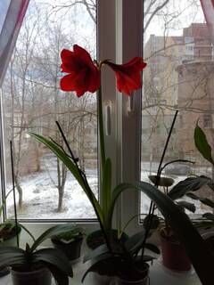 https://upforme.ru/uploads/0018/22/20/2/t857934.jpg