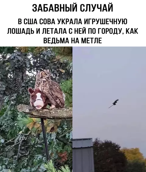 https://upforme.ru/uploads/0018/22/f0/22/t422588.webp