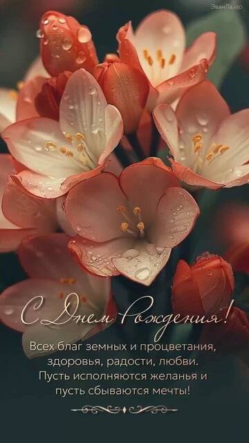 https://upforme.ru/uploads/0018/22/f0/64/t476577.jpg