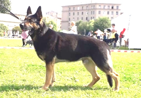 https://upforme.ru/uploads/0018/24/cd/12/56666.jpg
