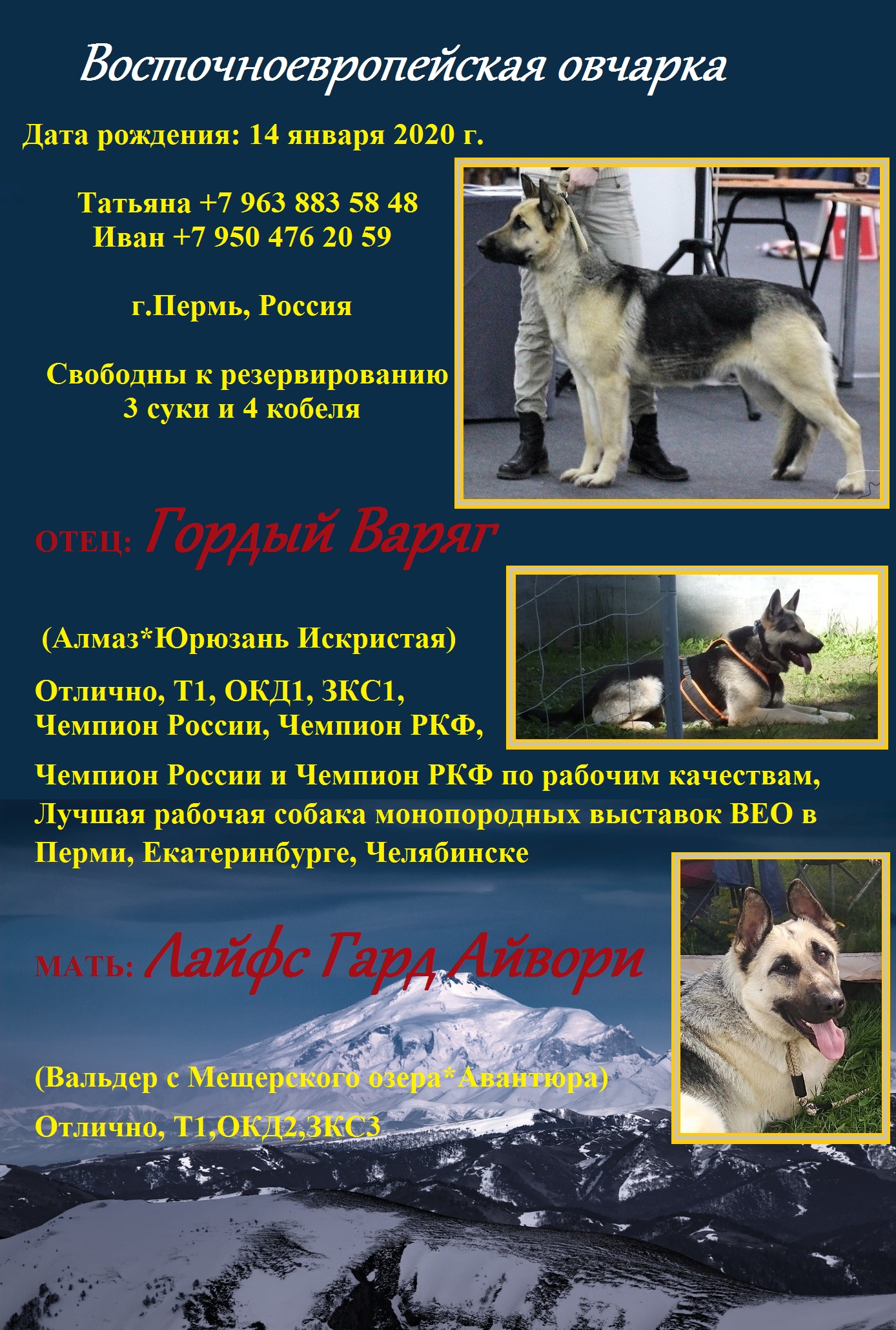 https://upforme.ru/uploads/0018/24/cd/344/83906.jpg