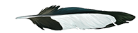 https://upforme.ru/uploads/0018/28/7e/1022/699483.png
