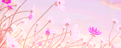 https://upforme.ru/uploads/0018/28/7e/1073/590731.gif