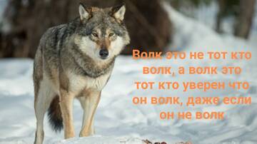 https://upforme.ru/uploads/0018/28/7e/1107/t719412.jpg