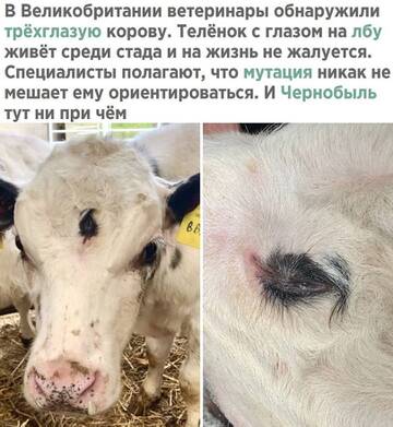 https://upforme.ru/uploads/0018/28/7e/1218/t888085.jpg