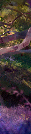 https://upforme.ru/uploads/0018/28/7e/883/944459.png