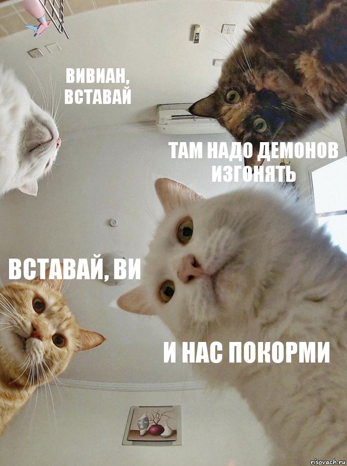 https://upforme.ru/uploads/0018/28/7e/975/497644.jpg