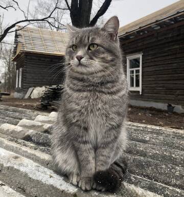 https://upforme.ru/uploads/0018/29/2a/210/t11287.jpg