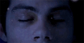 https://upforme.ru/uploads/0018/2c/77/428/t852994.gif