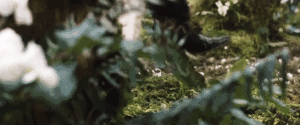 https://upforme.ru/uploads/0018/2c/77/439/868541.gif