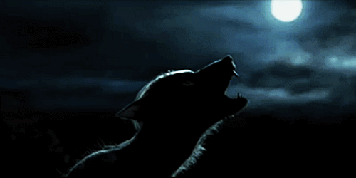 https://upforme.ru/uploads/0018/2c/77/573/419006.gif