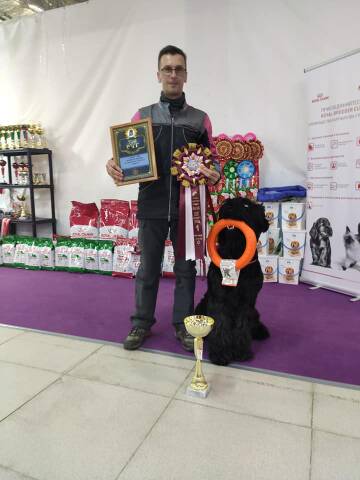 https://upforme.ru/uploads/0018/2c/a1/3/t414177.jpg