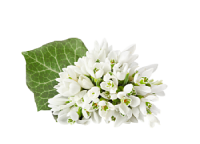 https://upforme.ru/uploads/0018/3d/6c/2/115959.png