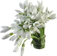 https://upforme.ru/uploads/0018/3d/6c/2/189382.png