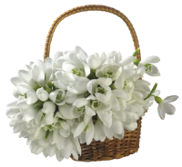 https://upforme.ru/uploads/0018/3d/6c/2/224101.png