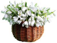 https://upforme.ru/uploads/0018/3d/6c/2/524801.png