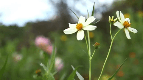 https://upforme.ru/uploads/0018/3d/6c/4/191223.gif