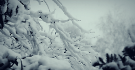 https://upforme.ru/uploads/0018/3d/6c/4/654626.gif