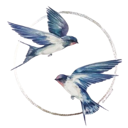 "  "     2025 - "  " | .             .  -   , ,    .