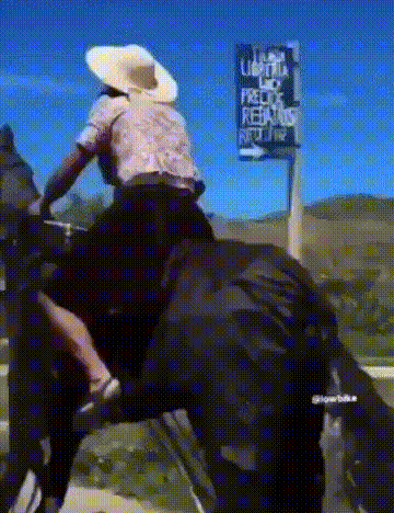 https://upforme.ru/uploads/0018/4f/b7/2/t308850.gif