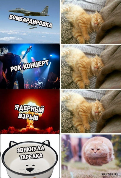 https://upforme.ru/uploads/0018/4f/b7/2/t95251.jpg