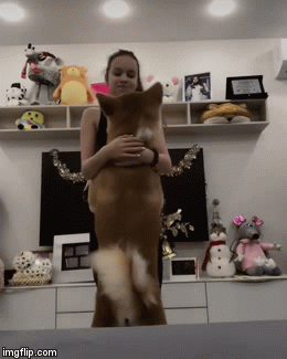 https://upforme.ru/uploads/0018/4f/e9/3/t28214.gif