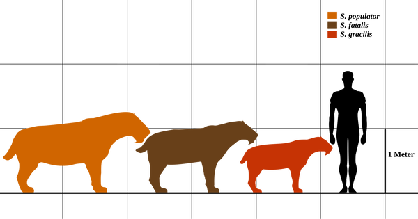 https://upforme.ru/uploads/0018/76/8e/3/t943072.png