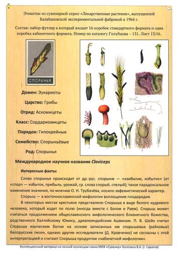 https://upforme.ru/uploads/0018/8e/d4/2/t975751.jpg