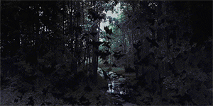 https://upforme.ru/uploads/0018/97/46/266/280487.gif