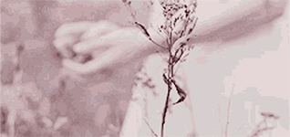 https://upforme.ru/uploads/0018/97/46/266/295603.gif