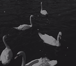 https://upforme.ru/uploads/0018/97/46/41/198512.png