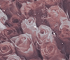 https://upforme.ru/uploads/0018/97/46/41/446825.png