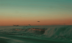 https://upforme.ru/uploads/0018/97/46/41/533525.gif