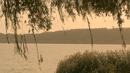 https://upforme.ru/uploads/0018/97/46/473/580920.gif