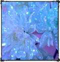 https://upforme.ru/uploads/0018/c2/e4/2/926420.png