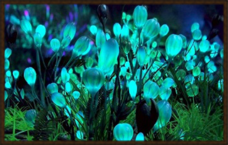 https://upforme.ru/uploads/0018/e2/2e/2/264919.png
