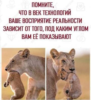 https://upforme.ru/uploads/0018/e4/74/4/t69558.jpg