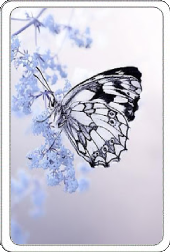 https://upforme.ru/uploads/0019/38/e4/20/277413.png