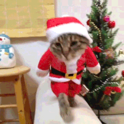 https://upforme.ru/uploads/0019/3a/78/10/t39846.gif