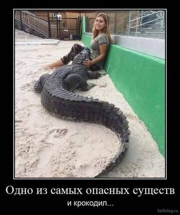 https://upforme.ru/uploads/0019/3a/78/12/t551791.jpg