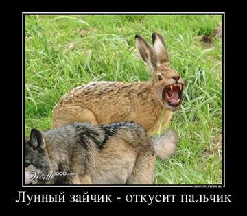 https://upforme.ru/uploads/0019/3a/78/122/t596803.jpg