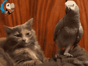 https://upforme.ru/uploads/0019/3a/78/122/t807392.gif