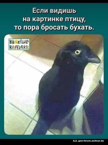 https://upforme.ru/uploads/0019/3a/78/14/t84676.jpg