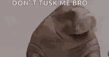 https://upforme.ru/uploads/0019/3a/78/150/t720513.gif