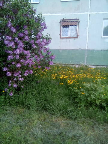 https://upforme.ru/uploads/0019/3a/78/150/t942340.jpg