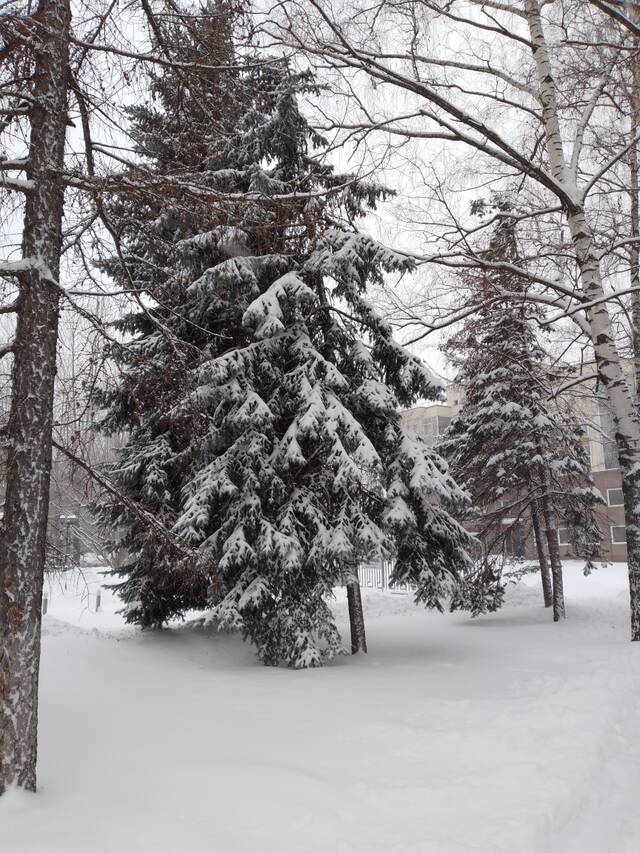 https://upforme.ru/uploads/0019/3a/78/16/808629.jpg